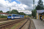 Tento obr�zek