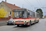 Tento obrzek