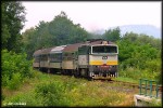 754.080, Mo�kov hl.tra� - Ve�ovice, 27.7.2013
