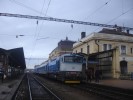 Brejlovec 1