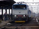 Tento obr�zek