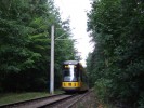 2614 v lese v Hellerau