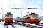 242.228 se soupravou pro Os8358 do H.Brodu, 242.246 na Os8354 do Havl.Brodu - Horn� Cerekev