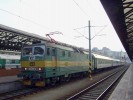 163 065 Shunk