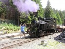 Tento obr�zek