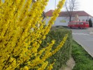 Praha, B�rtlova