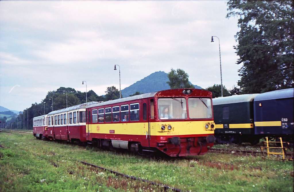 30.08.1996 - �esk� Kamenice 810.590 + Bix 810.285 Os 16603