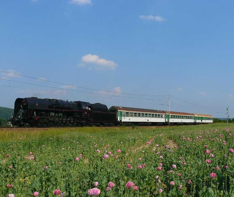 475.111 ���hlavy.