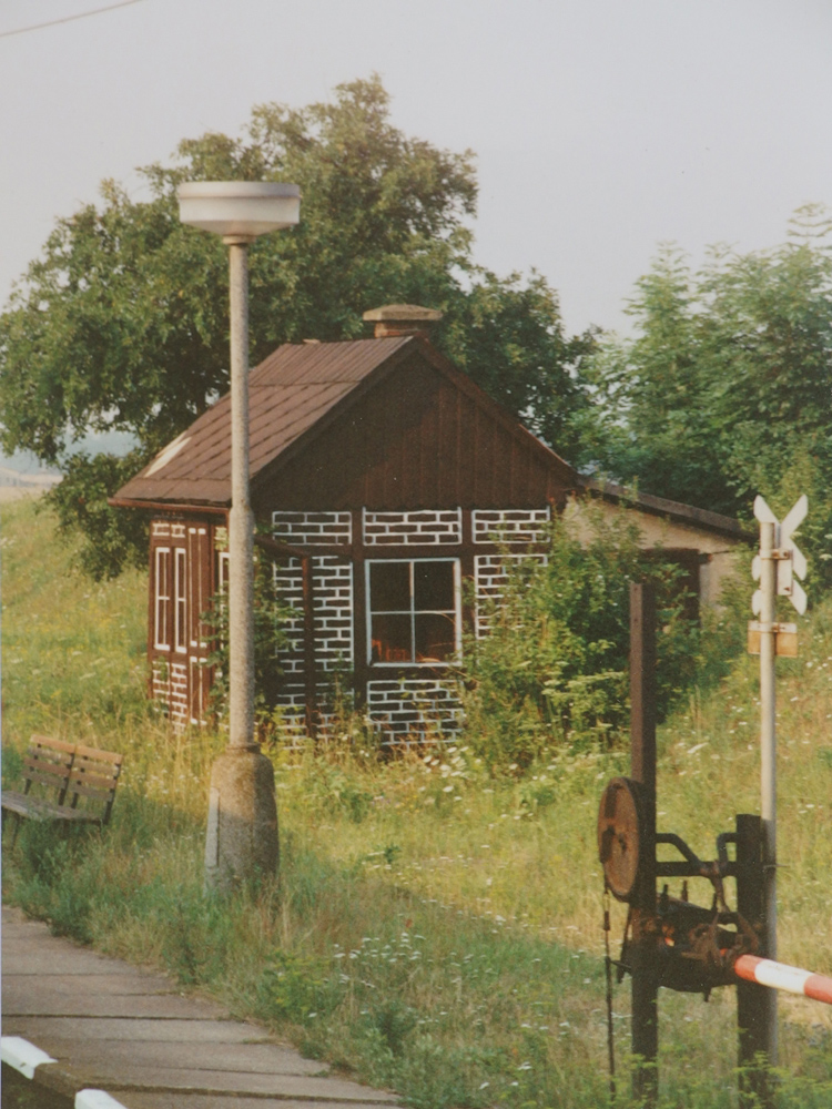 Lanov 1993