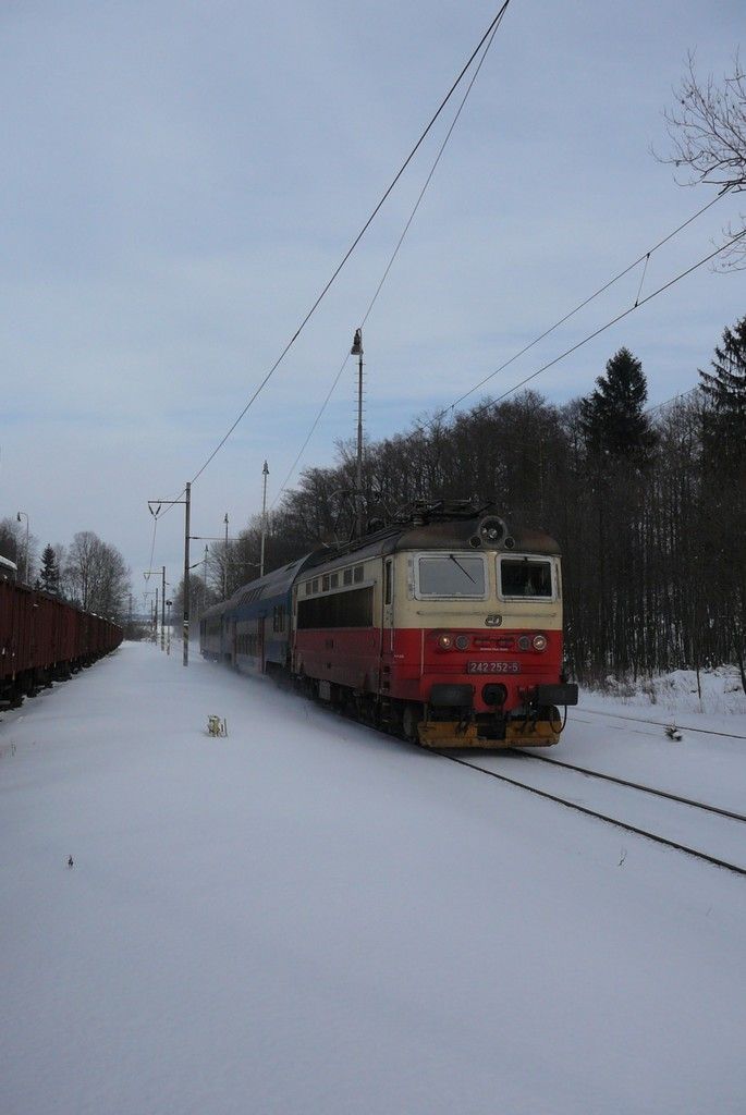 242 252-5, Po��tky-�irovnice, Os 8313, 15.2.09