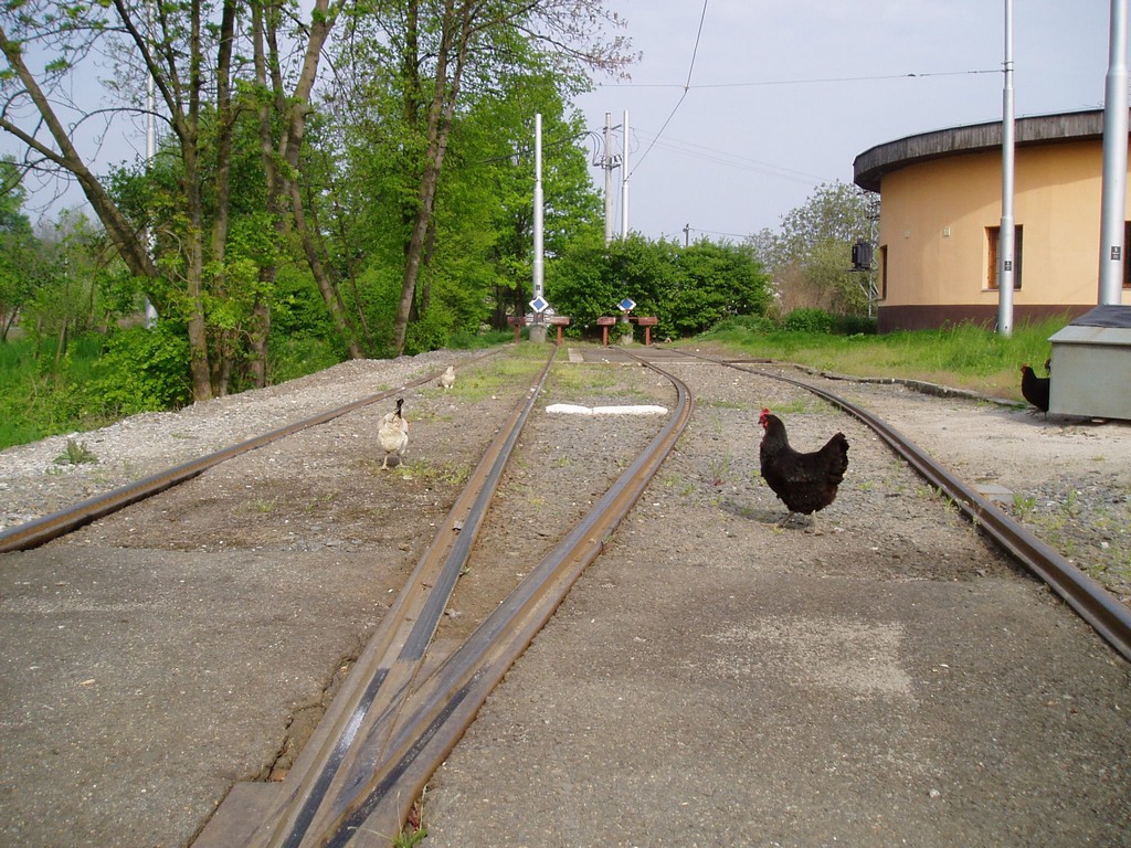 Odstavn� koleje V�esinsk�
