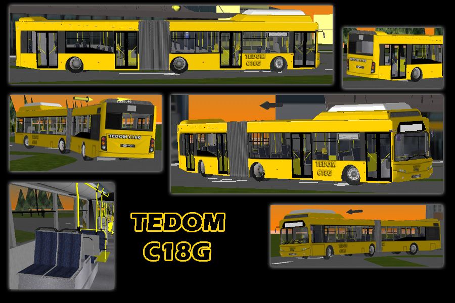 Tedom C18G