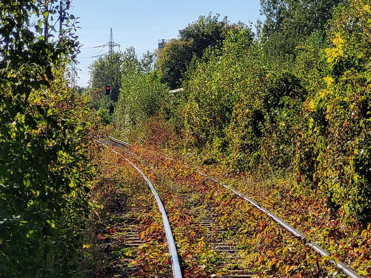 V46