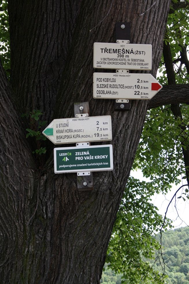 �elezni�n� stanice T�eme�n� ve Slezsku m� nadmo�skou v��ku 398 m. n. m.