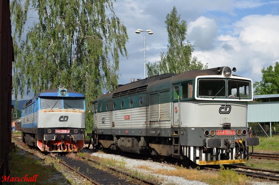 T 478.2065 s T 478.4065_-_11.06.2012-_-DKV Olomouc depo umperk.