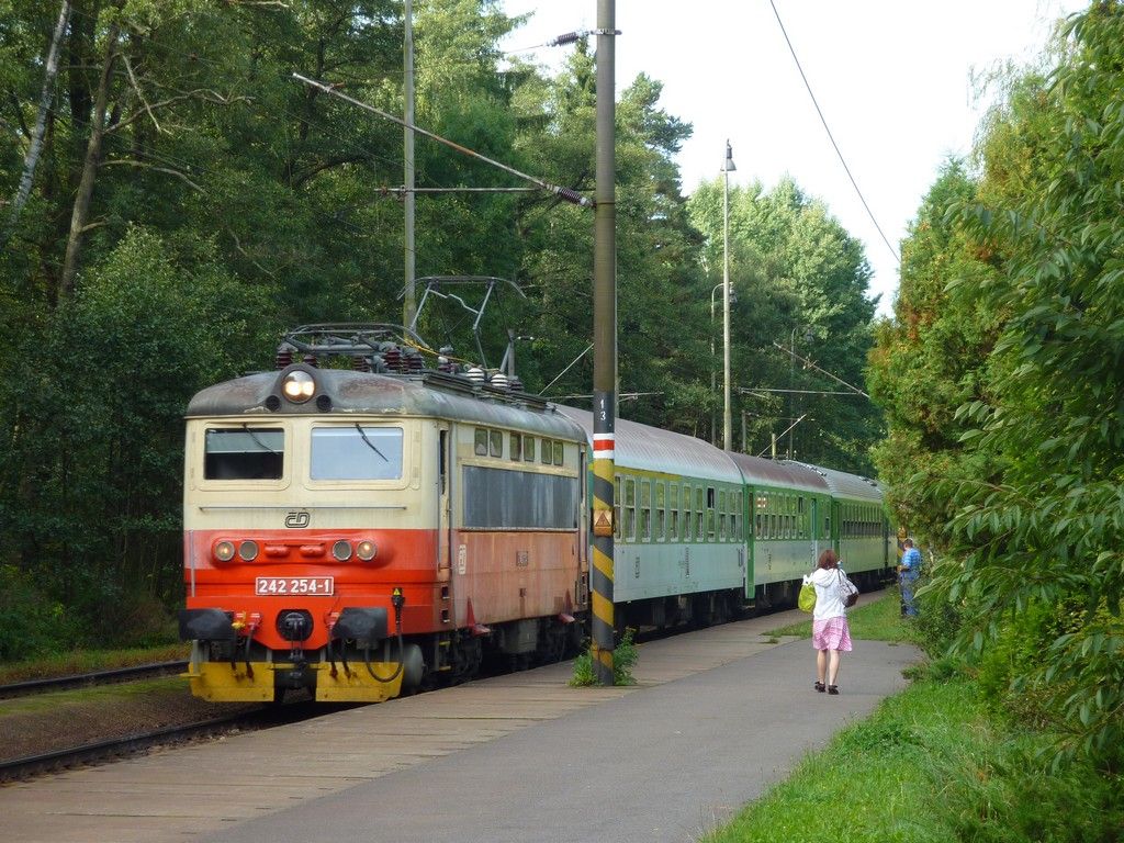 242 254-1, R 667 Petr Vok, Potky-irovnice, 16.9.2011