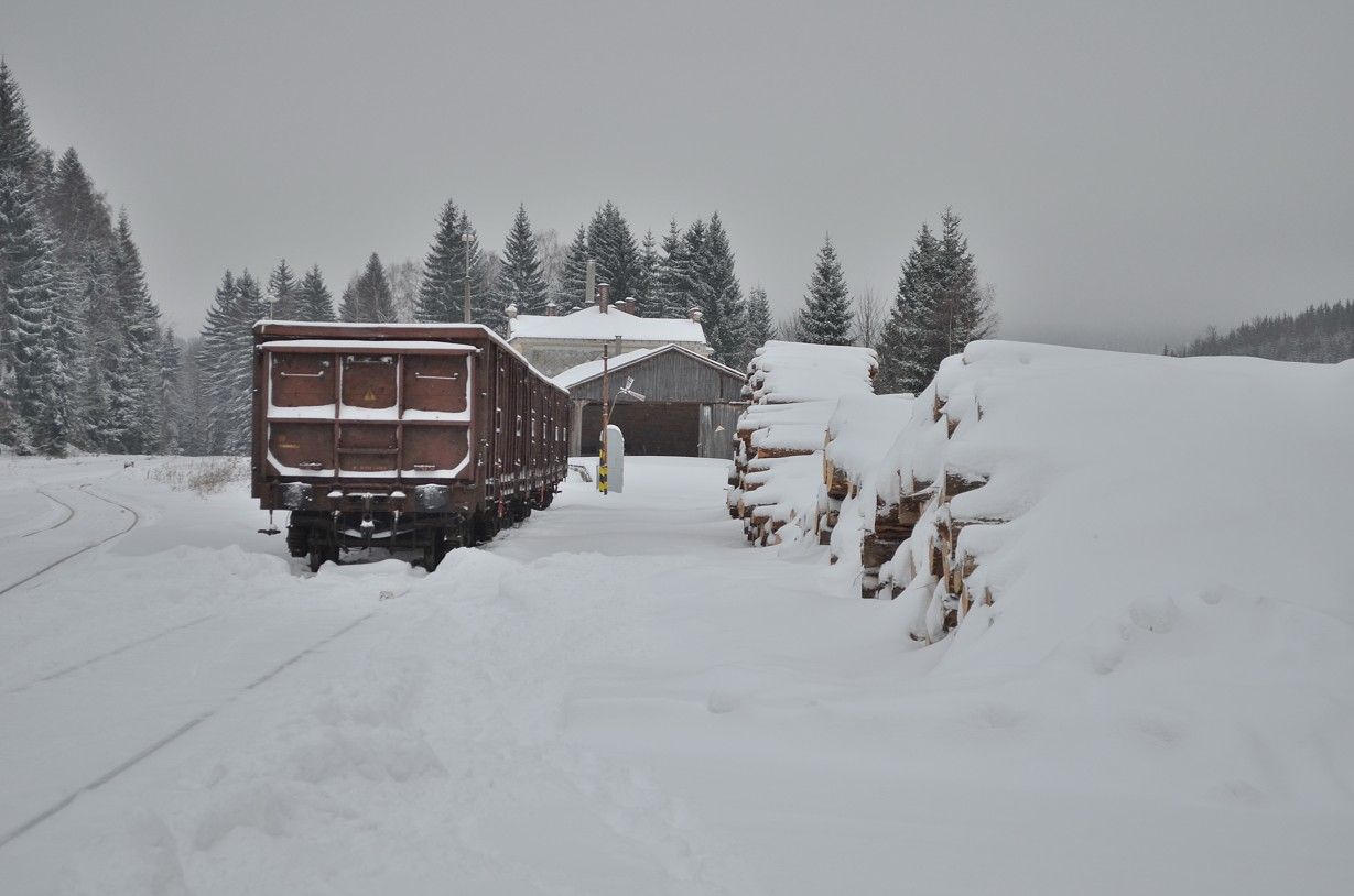Vozy Eas p�ipraveny k nakl�dce d�eva, Ko�enov 8. 12. 2013