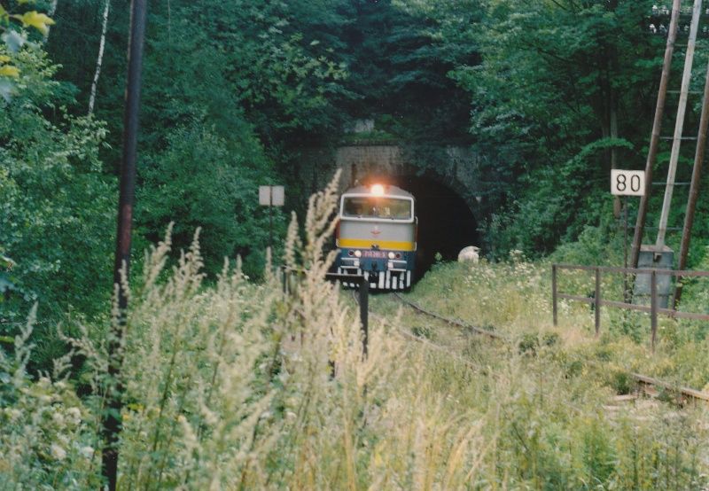 750.285, Police nad Metuj�, 8.8.1993