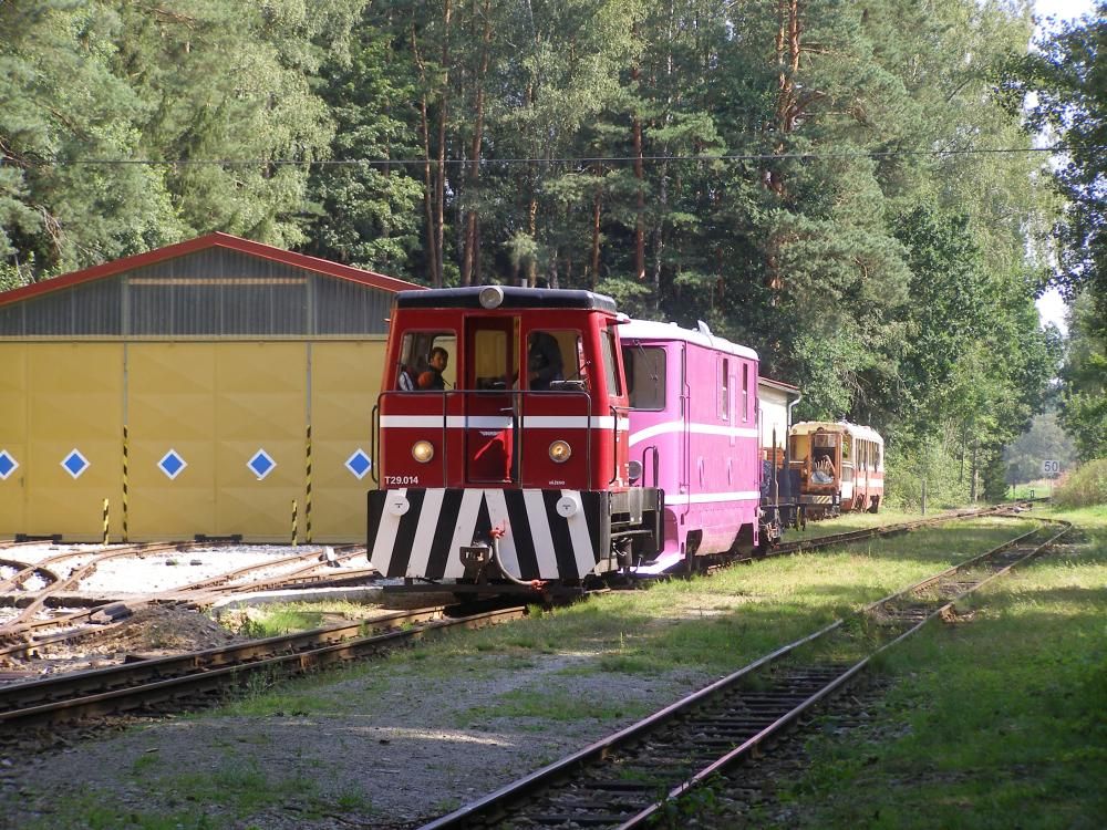 T29.014 Lov�t�n 19.8.2009