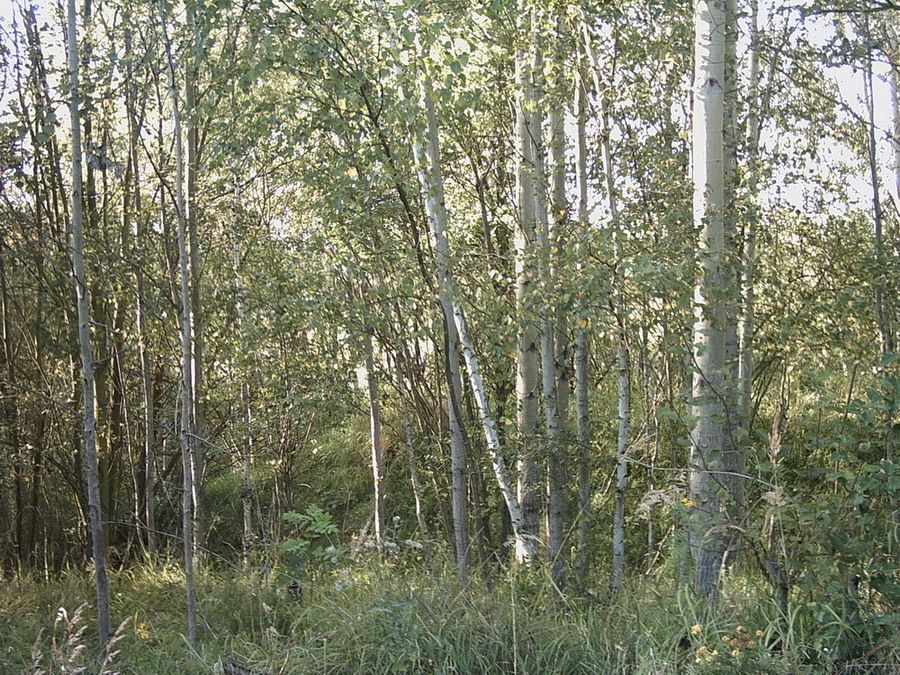 Pohled na ukon�en� p�vodn�ho n�spu