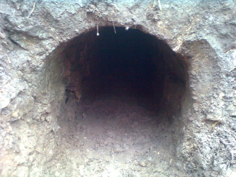 Nevypad� l�p, kdy� je u� �ist�? A jde vid�t i na druhou stranu