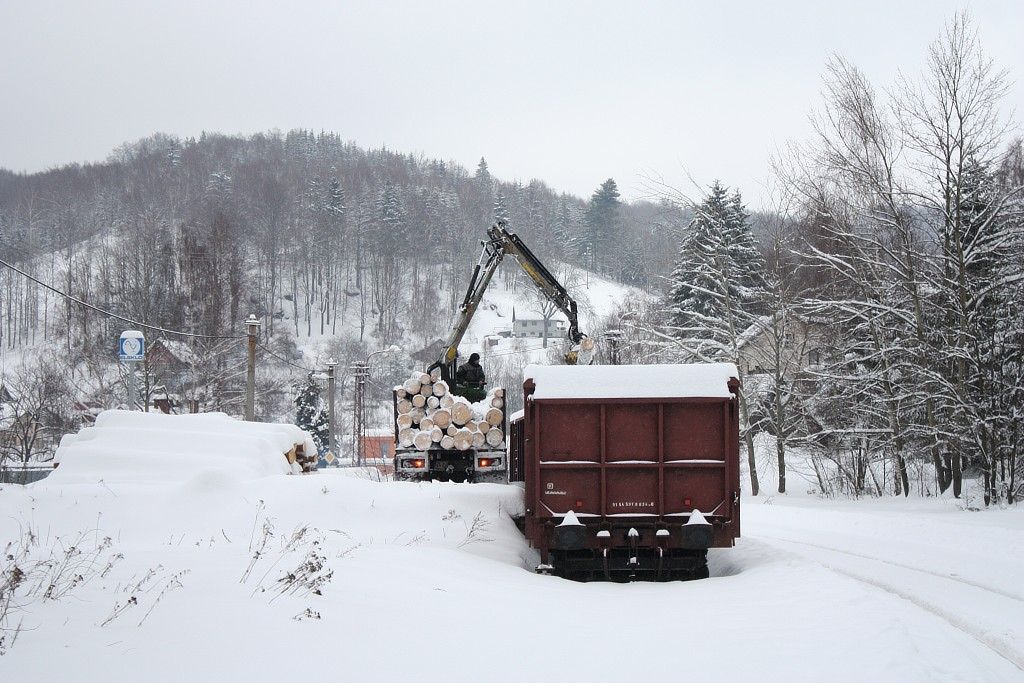 nakl�dka d�eva Desn�, 29.1.2010
