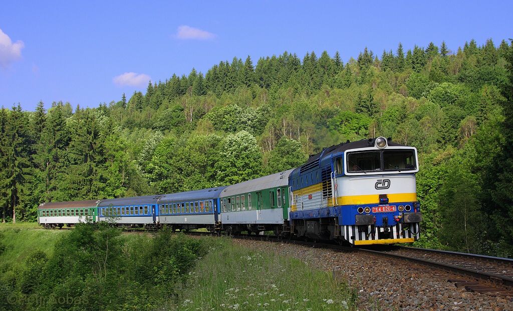 754.020, R 1401, Ostru�n�  - Ramzov� (Pet��kov), 27.6.2010