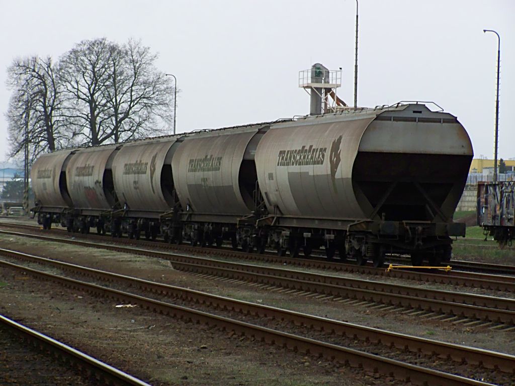 Prvn�ch 5 lo�en�ch Transcereales obil�m v Moravsk�ch Bud�jovic�ch 9.4.2010(foto Pavel Valenta)