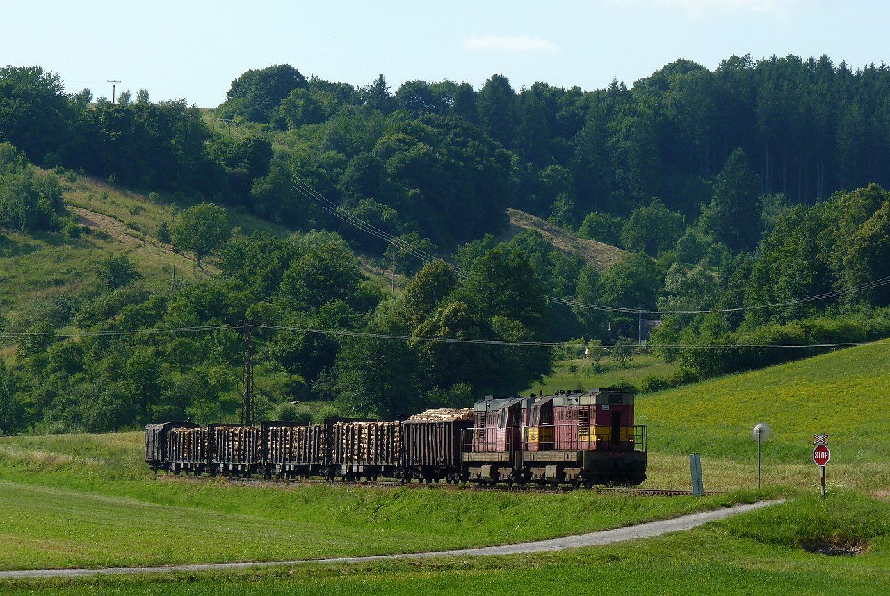 742.102+742.139, Bylnice, Mn 81000, 12.7.2010, foto:Vojt�ch G�ek