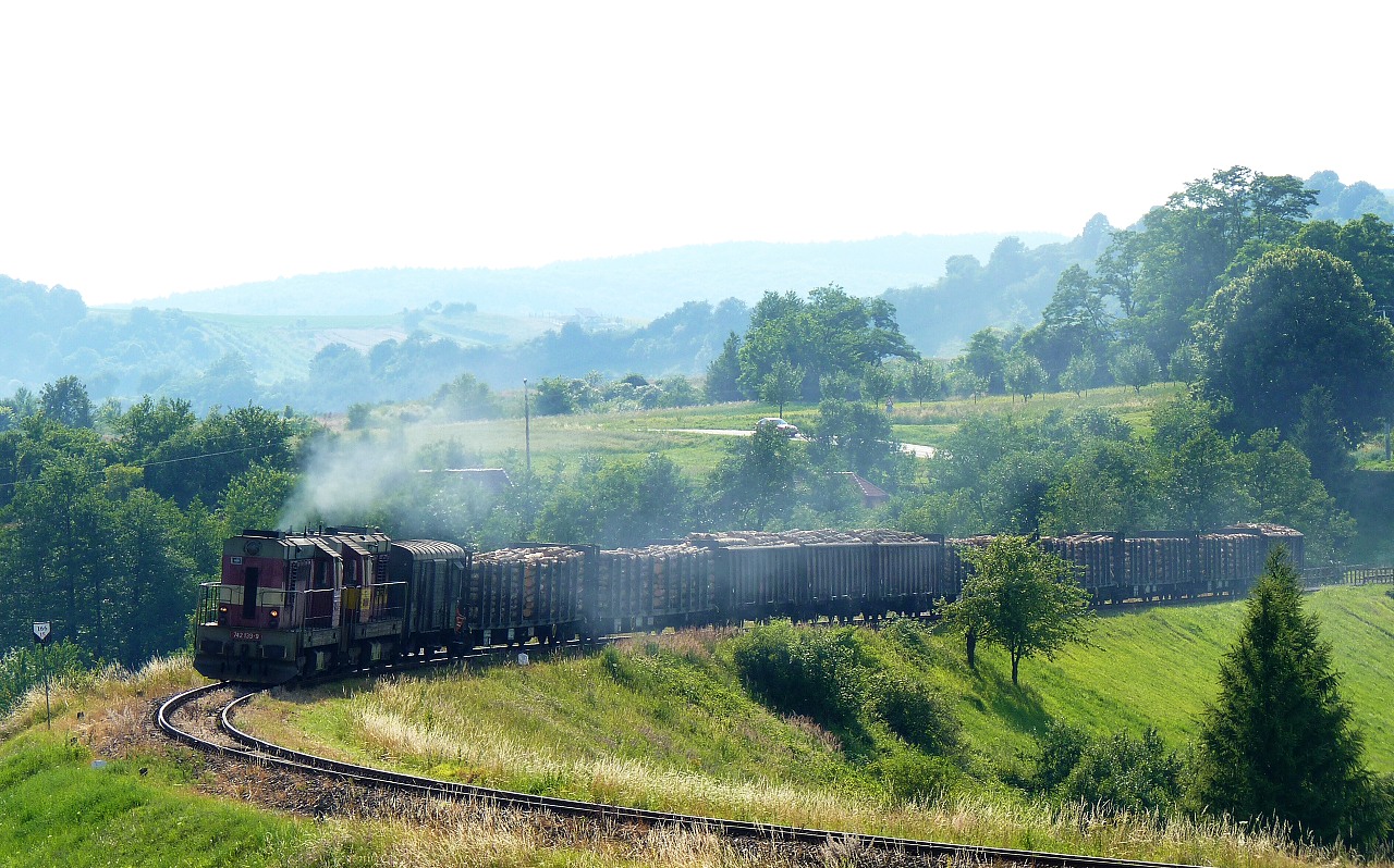 742.102+742.139, Bylnice, Mn 81000/1, 12.7.2010, foto:Vojt�ch G�ek