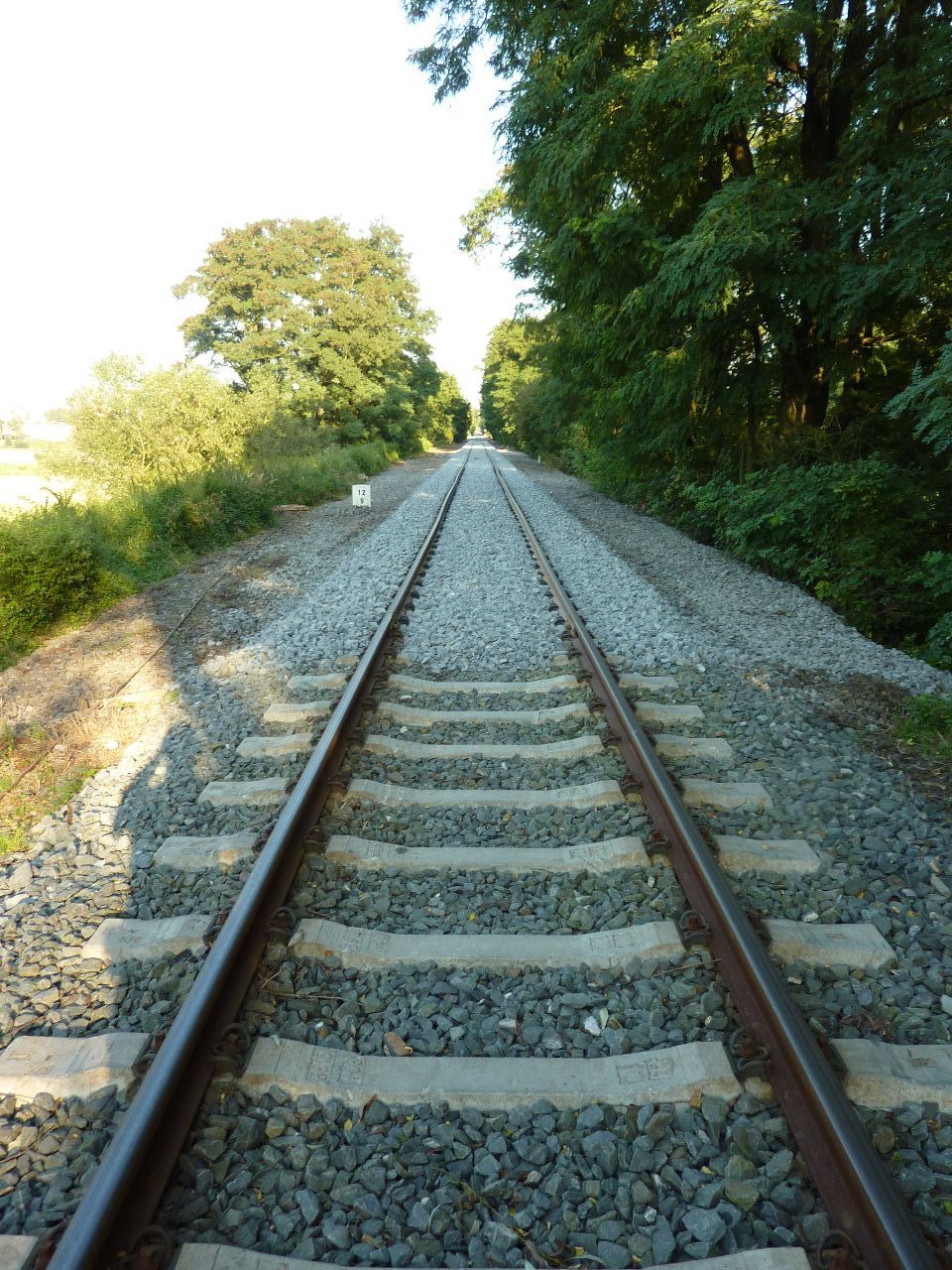 Rozhran� mezi lo�sk�m a leto�n�m �sekem (26. 8. 2011)