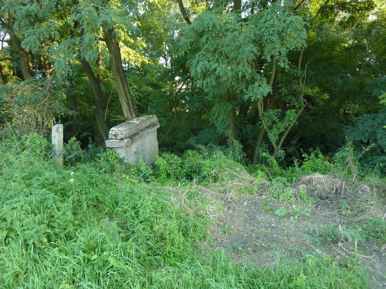 Zbytky p�emost�n� okolo km 12 (26. 8. 2011)