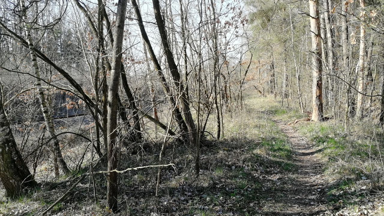 Sm�r od T�bora (vlevo tra� 201 sm�r Ra�ice)