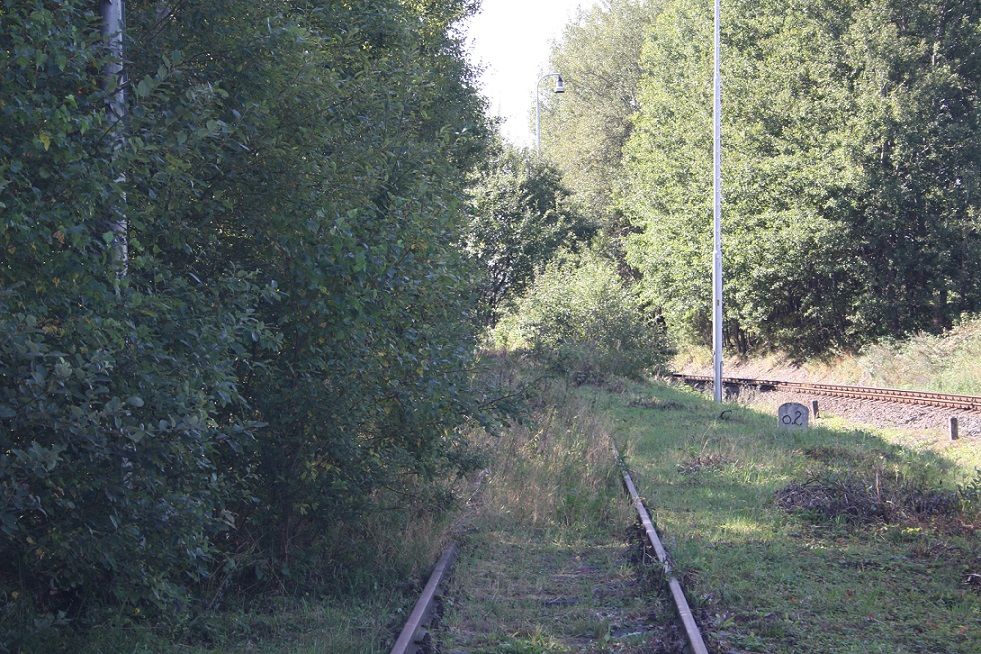 Zarostl vlekov kolej, vpravo kolej trati 310 smr Olomouc