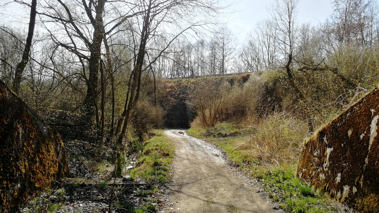 Pohled ke trati 201 (vystn vodotee vlevo), vzadu kamenn mostek na trati Tbor-Raice