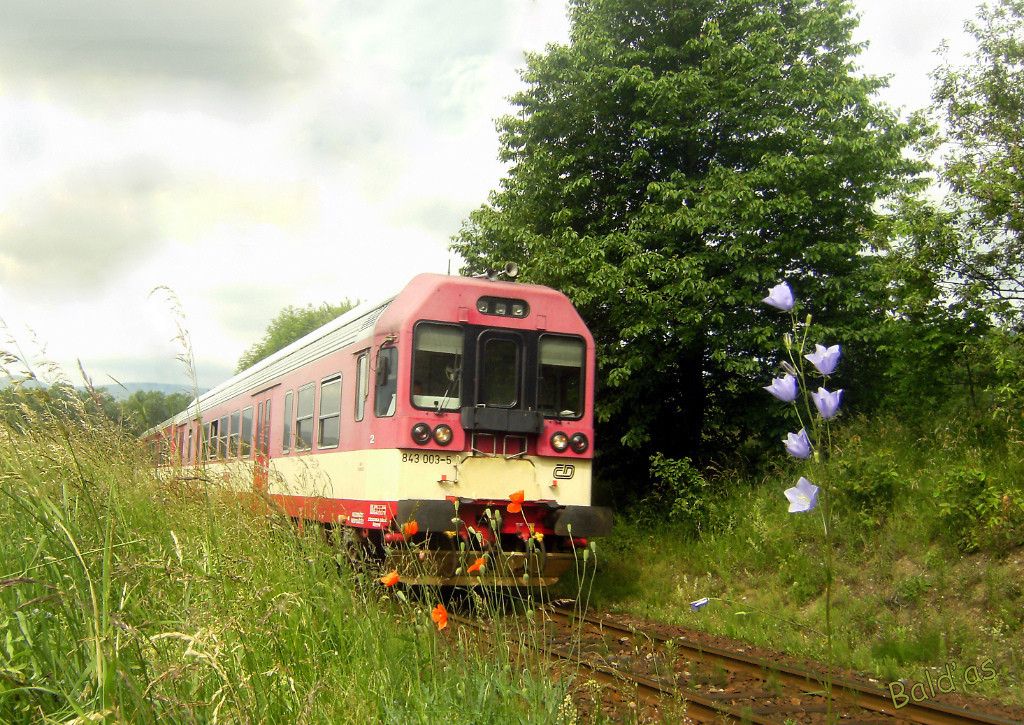 843.003 P�se�n� 25.6.2010