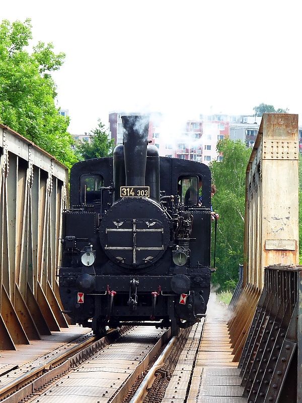 314.303, Poli�n�, 27.5.2010, foto: Dobi� Ji��