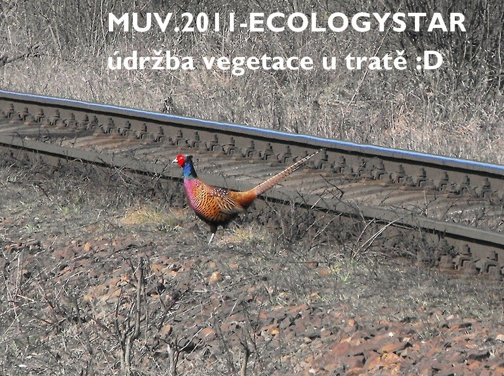 MUV ekologick� �dr�bov� vozidlo naa vegetaci u trat�