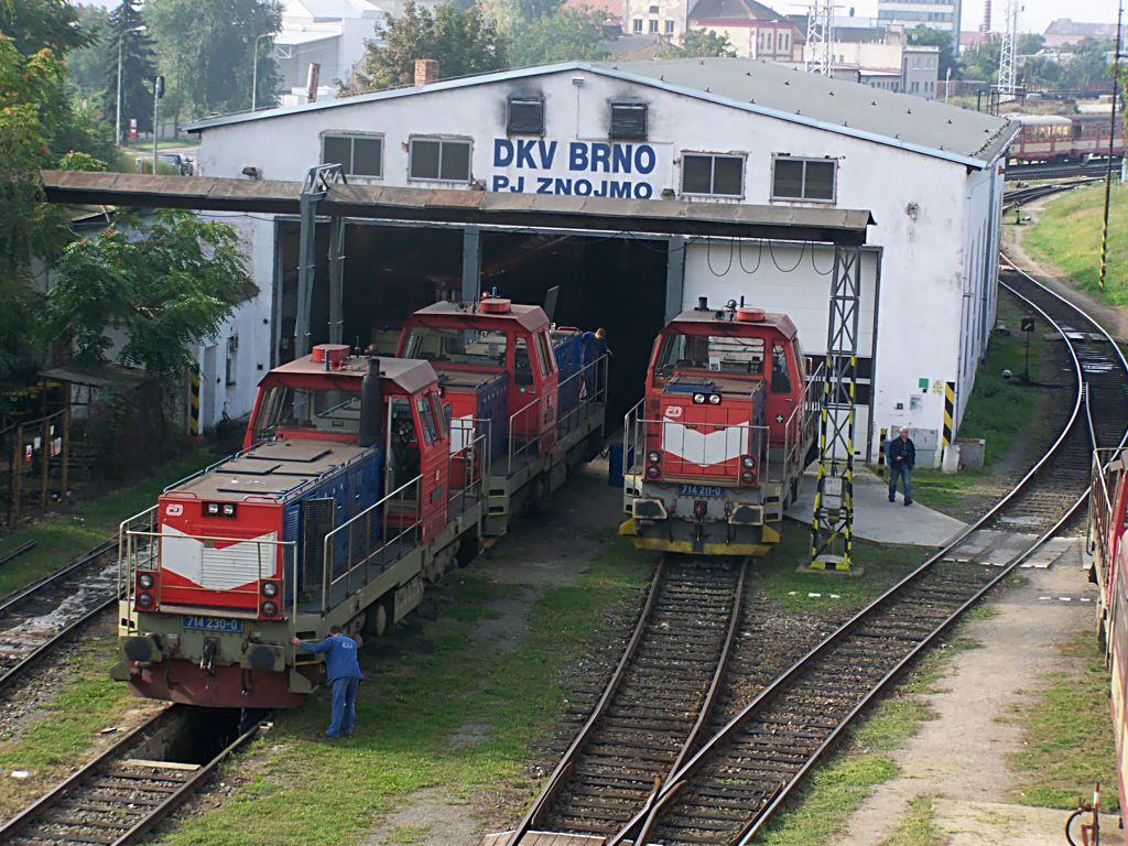 Oprava a �dr�ba lachtan� ve Znojm� 16.9.2009(foto Pavel Valenta)
