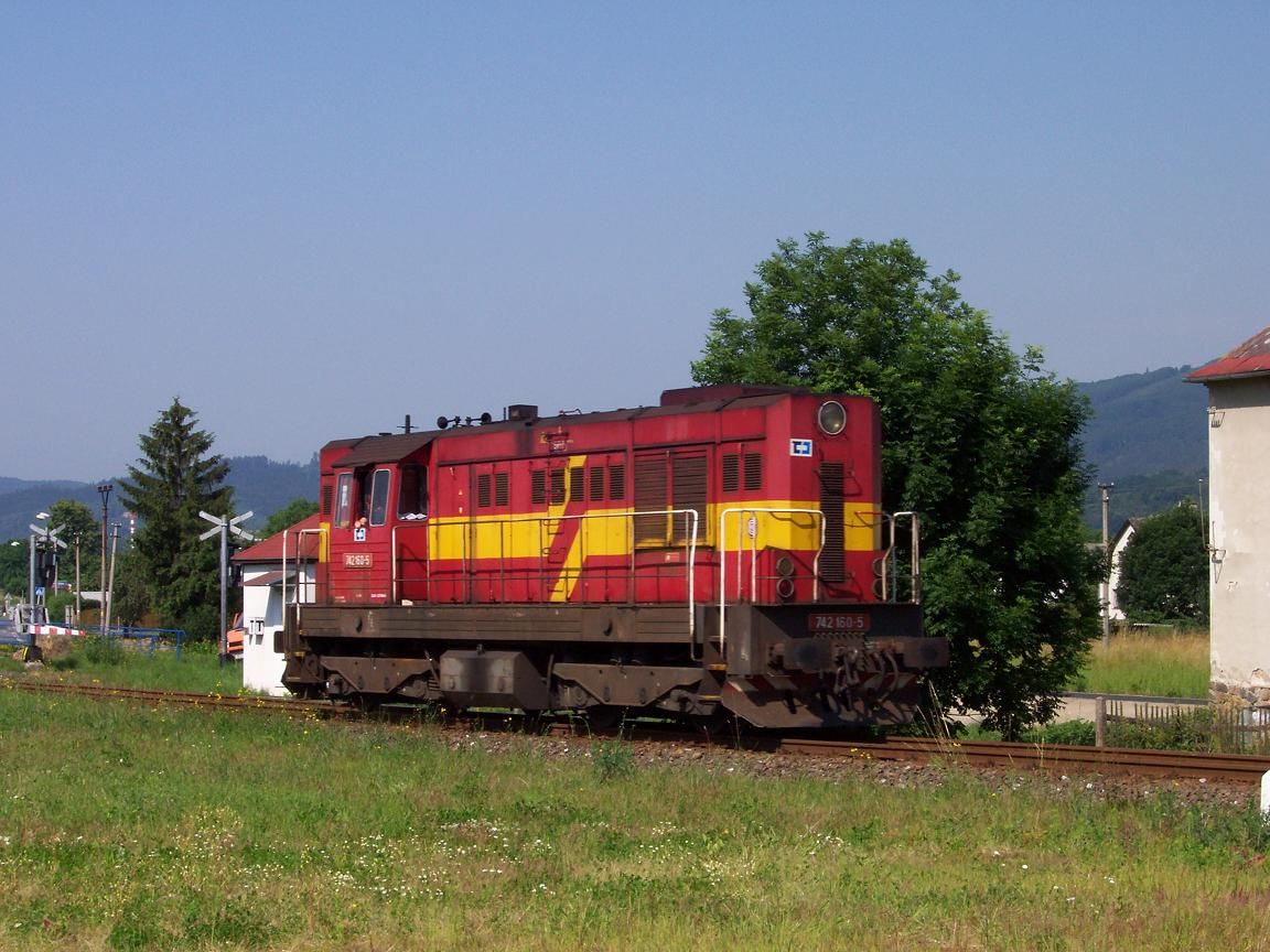 Lv zp�t, zde v Petrov� na zast�vce