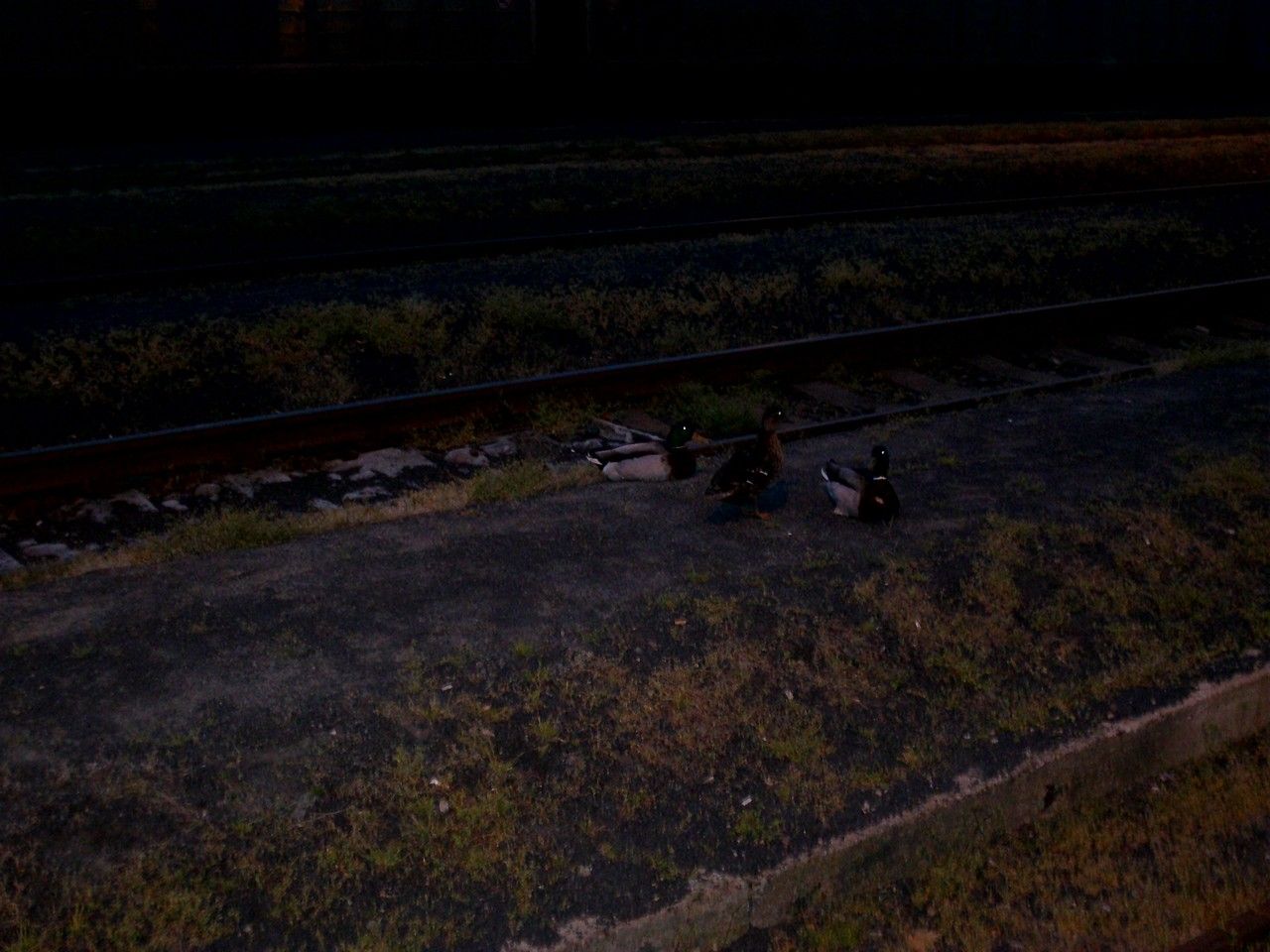 �st. Rakovn�k, 28.4.2011
