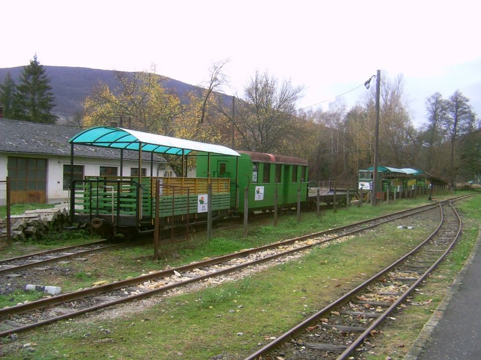 Palhza-Ipartelep (depo), november 2013