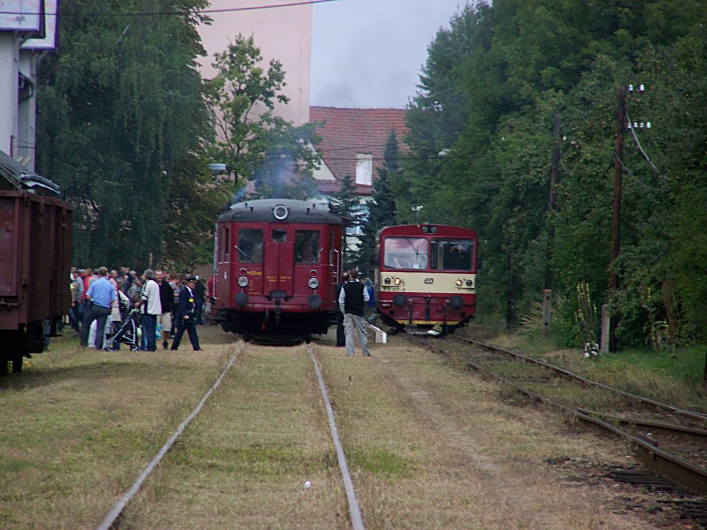 M1311515 a 810 222-0 v Jemnici 29.8.2010 (foto Pavel Valenta)