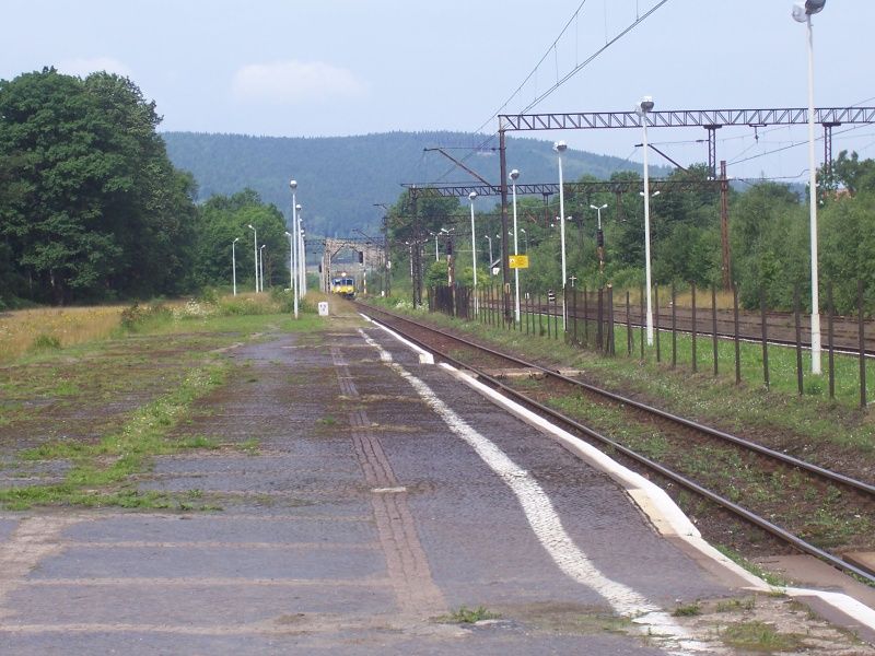 Sedzislaw