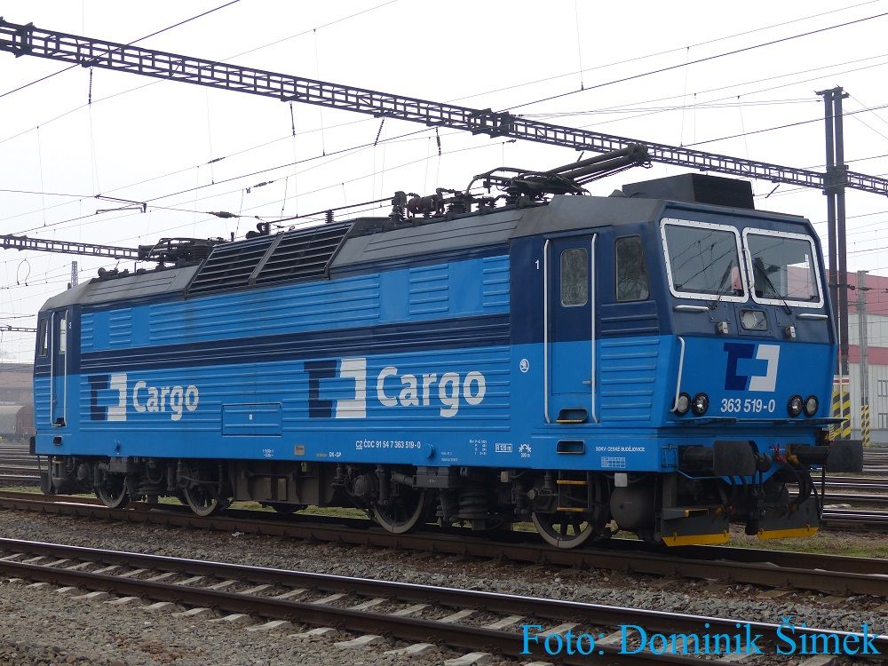 363 519-0