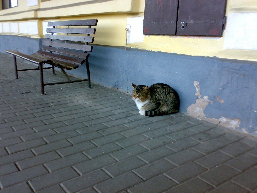 ���enick� mourek