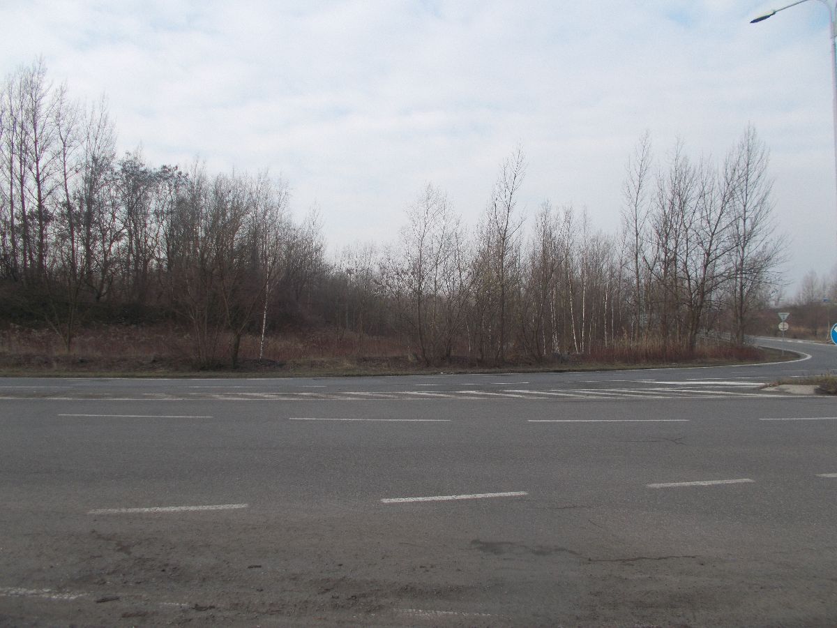 Pohled zp�t