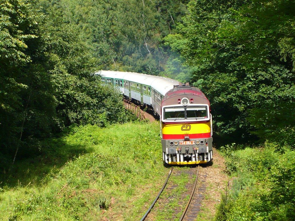 754 062-8, Os 4836, Zast�vka u Brna, 20.7. 2009