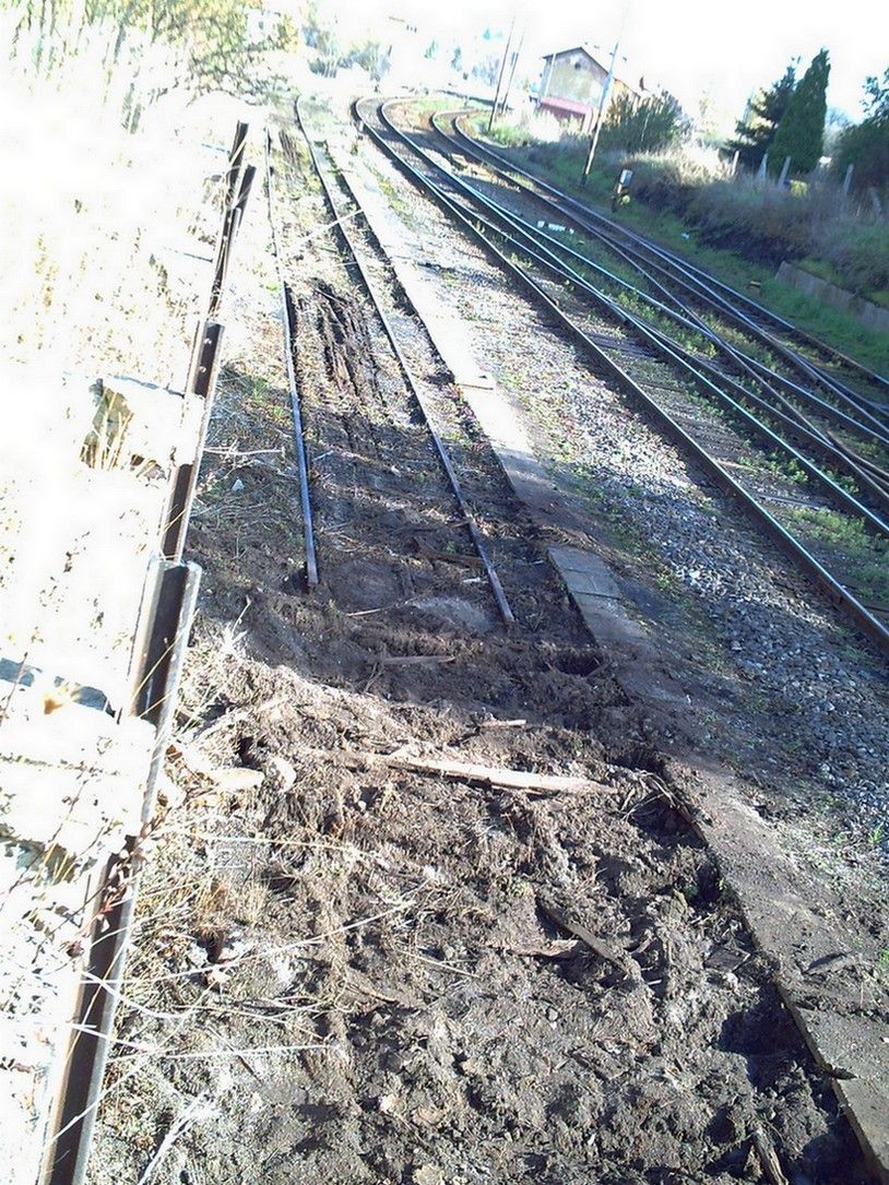 Mizej�c� kus� kolej v �st. Rakovn�k, 21.10.08  foto: Mar�a Rak