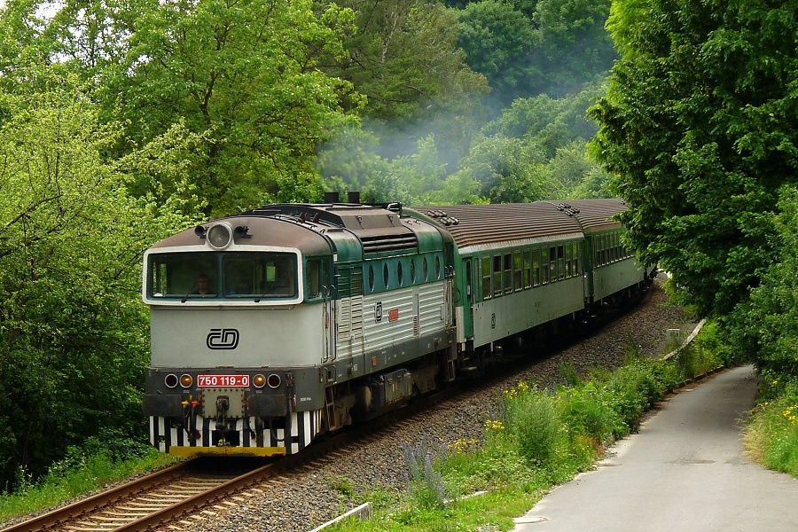 750 119-0, Vala�sk� Mezi����, 22.6.2010, foto: Dobi� Ji��